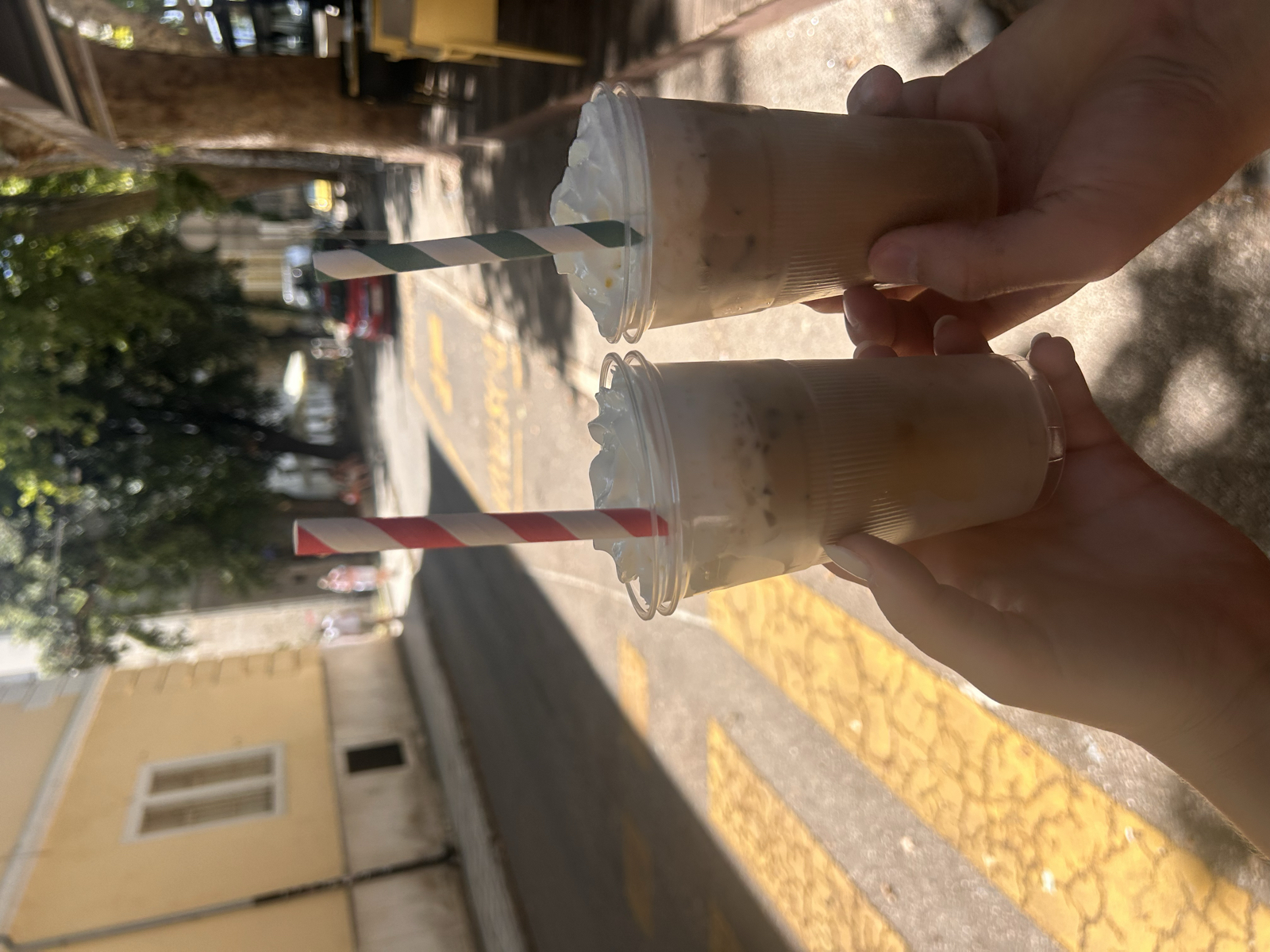 Hej från Paradiset ☀️🌴
Första dagen i Zadar blev som förväntat mycket sol och bad 🌊 Under förmiddagen låg vi på Kolovare beach där det blev mycket läsning. Till lunch serverades det gårdagens rester men vi lyxade till det med burkmajs som topping 🙈 Två iskaffe senare såg vi några av de galnaste amatörhoppen från uppskattat 12 meters höjd, de flesta avslutade i en räka. Middag, lite promenad i gamla stan, och sedan den obligatoriska omgången kort för att runda av kvällen. Imorgon byter vi boende en sista gång där vi kommer spendera de sista fem nätterna 💤 Sov gott på er!